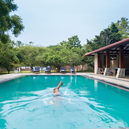Yala Chalets By Lalan Leisure Kirinda  Eksteriør billede